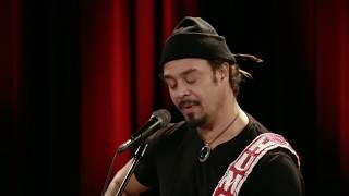 Michael Franti & Spearhead VD