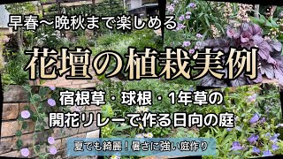 【早春〜晩秋までの開花リレーで作る庭】植えっぱなしの庭/オススメの春苗/宿根草/花壇のレイアウト#PWアンバサダー#PW #ガーデリンク