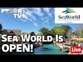 🔴Live: Sea World is OPEN!!  Opening Day Crowds, Changes, & More!