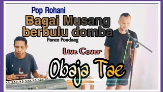 Pop Rohani. Musang berbulu domba. ( Live Cover : Obaja Tae.