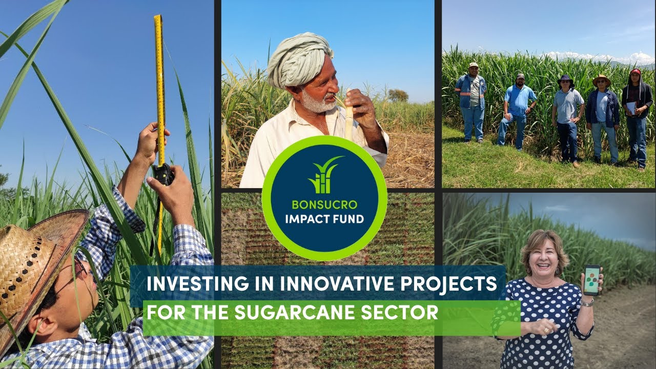 Bonsucro Impact Fund: Investing in innovative projects for the sugarcane sector