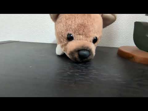 繋ぎ歌 世界の国からこんにちは NMB48 よしわん ピアノ弾き語り けいと 塩月希依音 生誕祭 誕生日 万博 大阪関西万博 繋ぎ歌 Nmb48 ピアノ 弾き語り 