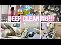 Extreme Mess /Satisfying Deep Clean With Me / Entire Small Apartment Cleaning/Stephanie McQueen