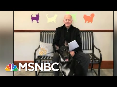 President-Elect Biden Suffers Fracture In Right Foot | Morning Joe | MSNBC