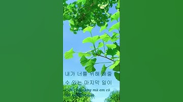 Luyện nghe tiếng Hàn: Việc cuối cùng em làm cho anh| Tiếng Hàn 5S Short #Shorts