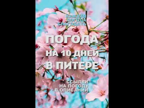 погода на 10 дней в ПИТЕРЕ - YouTube
