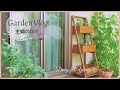 【ガーデンvlog】木製プランターをDIY｜７月のハーブ苗を植える