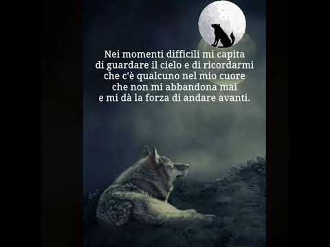 ANCORA...ANCORA..E ANCORA...BUONANOTTE 💕💫🌠