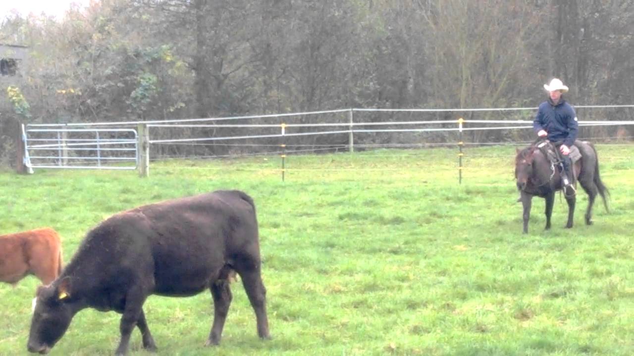 Oliver Kraft mit Higgens in den Rinder ohne Kopfstück3