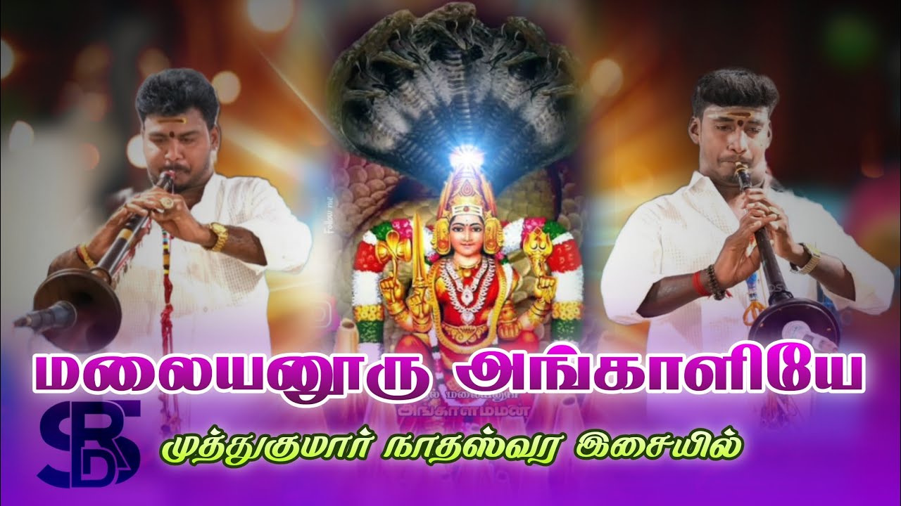 மலையனூரு அங்காளியே பாடல் ll முத்துக்குமார் நாதஸ்வர இசையில் ll RDS MEDIA
