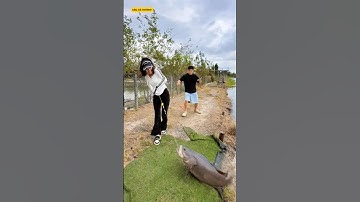 gái xinh dùng cây gậy lôi cá mũ làm anh chủ hồ ngơ ngáp và cái kết #fishing #cauca