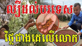 អស្ចារ្យល្បីដល់បរទេស ថ្លៃជាងគេលើពិភពលោក ក្លិនឈ្ងុយប្រហើរ