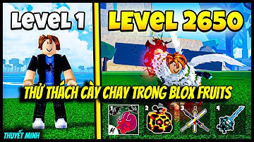 Hành Trình Cày Chay Từ Lever 1 Lên Max Trong Blox Fruits