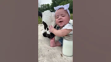 القران الكريم راحه نفسيه صلو عليه شفيع الامة 