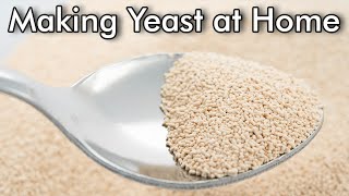 Yeast।How To Make Yeast At Home।घरमै ईस्ट बनाउने तरिका। Yeast For Pizza Dunot At Home। Home Cooking।