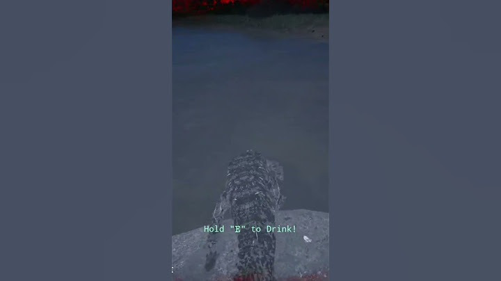 Imagine being a speed hacker