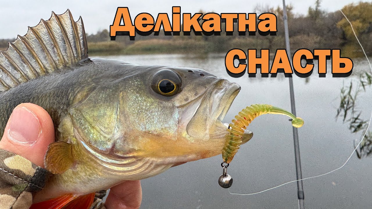 Найкраща снасть на ОКУНЯ - УЛЬТРАЛАЙТ / МІКРОДЖИГ / СИЛІКОН