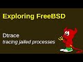 FreeBSD: using dtrace to inspect processes running in a jail