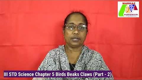 III STD Science Chapter 5.  Birds Beaks and Claws (Part 2)