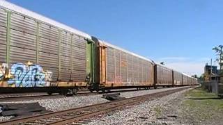 Ns 6806 Leads Ns 288 At Hair