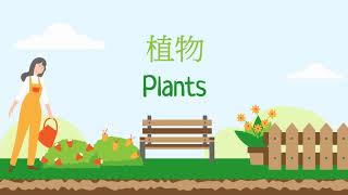 幼儿科学 — 植物 Plants