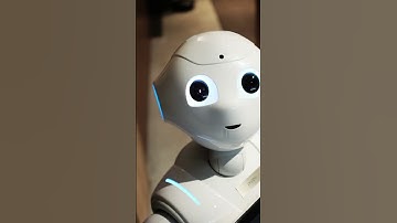 What is Python? #shorts