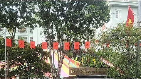 Cắt tỉa cây xanh tại Hà Nội | Nhà đẹp Tiên Khôi