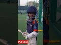Pull shot #cricket #sports #cricketfever #shorts #viralvideo #viratkohli #cricketlover #ipl