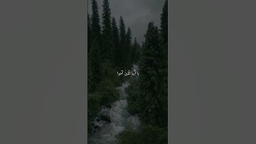 ما تيسر من سورة الأحزاب بصوت الشيخ ناصر القطامي 🤍
