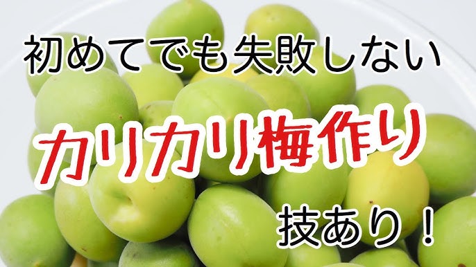 カリカリ梅の作り方は旨味たっぷり子供も美味しいレシピ Karikari Ume Plum Recipe Youtube カリカリ梅の作り方は旨味たっぷり子供も美味しいレシピ Karikari Ume Plum Recipe Youtube