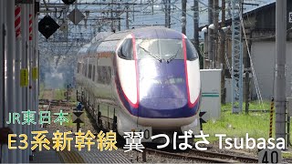 (4K)JR東日本 新幹線E3系電車 翼 つばさ JR EAST E3 Series Shinkansen Tsubasa