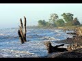 Дагестан. Сказка и быль лианового царства