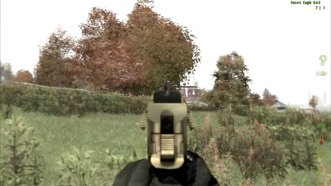 DayZ Breaking Point Gold Desert Eagle YouTube