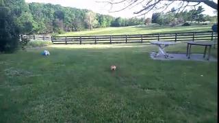 WP 20150514 008