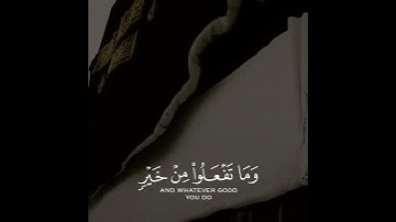 الحج أشهر معلومات / مع القارئ عبدالرحمن مسعد / قناة طمئن قلبك