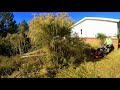 Old Homeowner Let This Yard Get CRAZY (Worst Lawn Mowing Tall Grass On YouTube)