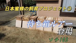 [素人が蜂を飼う　③]　　いよいよ捕獲のシーズン目前です。待ち箱ルアー購入しました。待ち箱も制作完了。