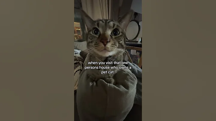 #notmine #tiktok #funny #tiktokrepost #satire #fypviralシ #follow #repost #real #relatable