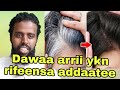 Dawaa Arrii Rifeensa Addaate Fii Gafiilee Birootis Dawaa Arrii Rifeensa Addaate Fii Gafiilee Birootis