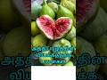 🥝🥬அத்திப்பழம்🍈🍠