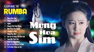 Mộng Hoa Sim , Hồng Trần Tình Ca - ALBUM RUMBA 8x9x Hot Tiktok - LK Nhạc Trẻ Rumba Đặc Biệt