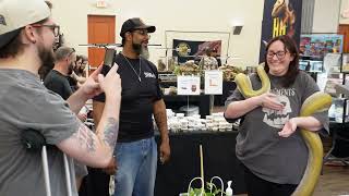 Lone Star Reptile Expo! Schertz Tx! (August 2025)