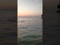 🌊