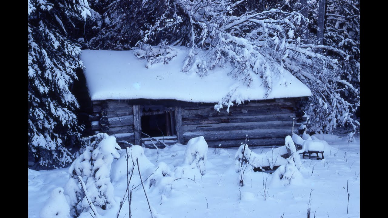 Martin's Old Off Grid Log Cabin #89-The Earliest Years