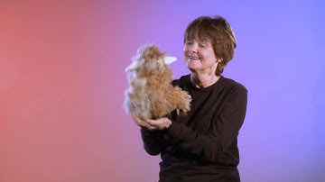 Folkmanis® Wooly Lamb Puppet Demo - Retired