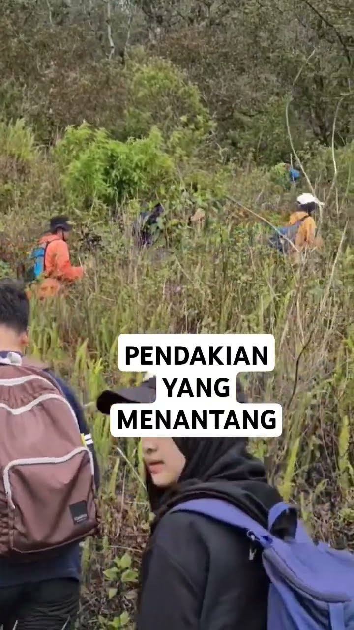 Pendakian Ke Puncak 5 Gn Guntur Garut