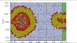 dissipative particle dynamics micell pass through hall Wall_R = 7