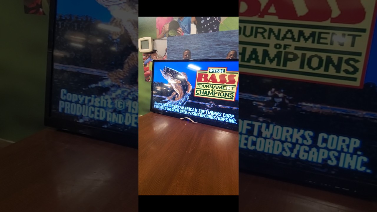 Nintendo pro bass fishing game
