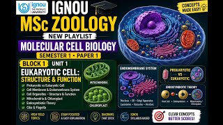 Unit 1 I Eukaryotic cell: structure and function I  MZO001