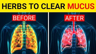 10 Herbs for Lung Health & Clearing Mucus ( COPD ) and Killing Viruses | How to Clean Your Lungs